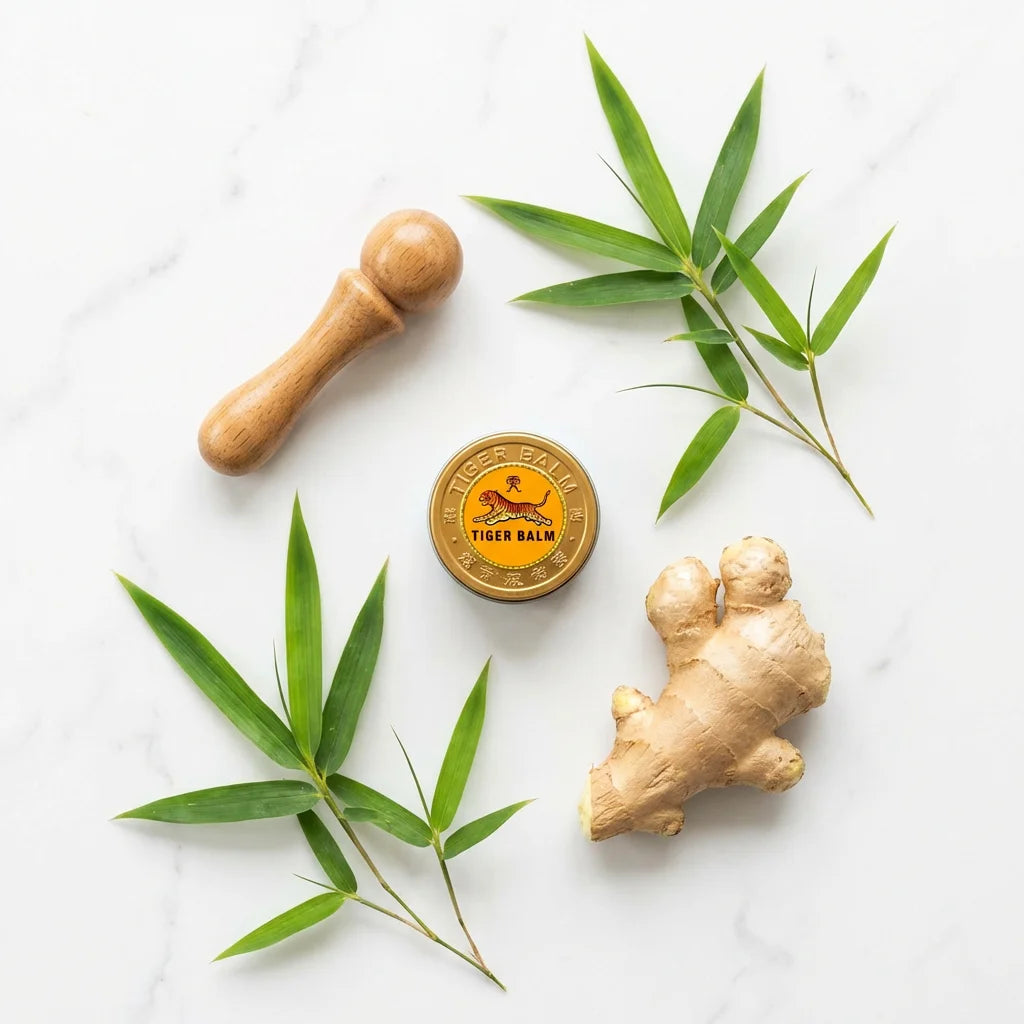 KineticQi TCM Wellness AI