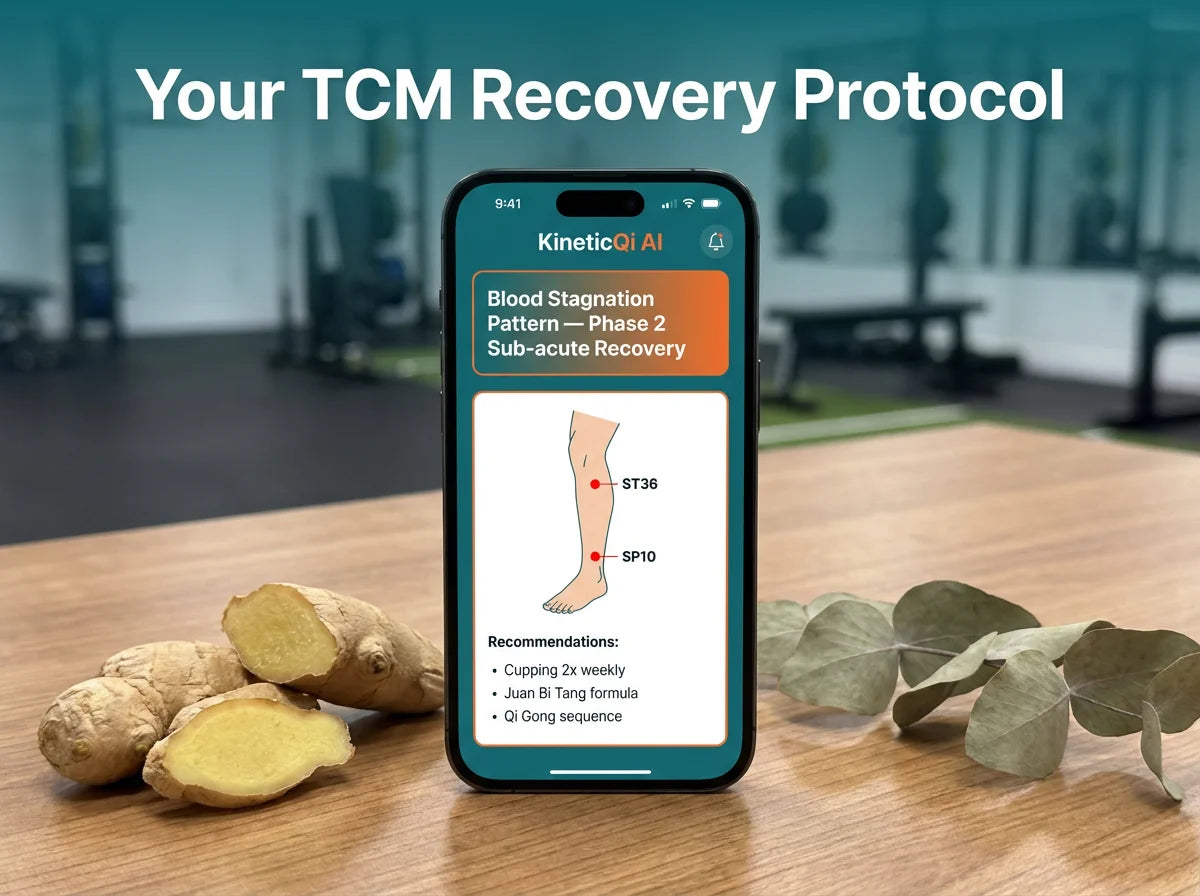 KineticQi - Your TCM Recovery Protocol